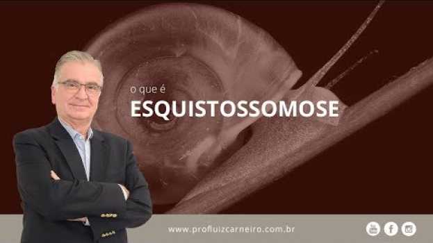 Video Esquistossomose ainda existe! | Prof. Dr. Luiz Carneiro CRM 22.761 su italiano