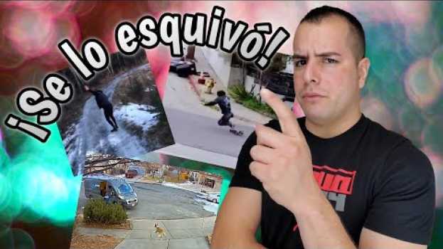 Video Gente rápida | 3+ in English