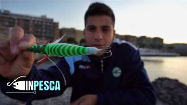 Video Pesca del POLPO con le TOTANARE MODIFICATE | Hanno calato RETI ovunque!!! em português
