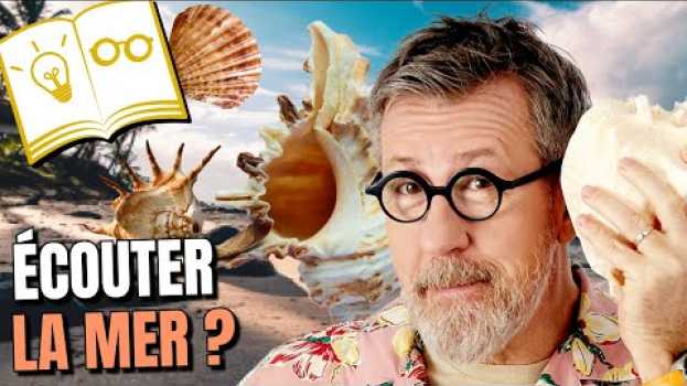 Video Pourquoi entend-on la mer dans un coquillage ? 🌊 | Confinement Jour 51 en español