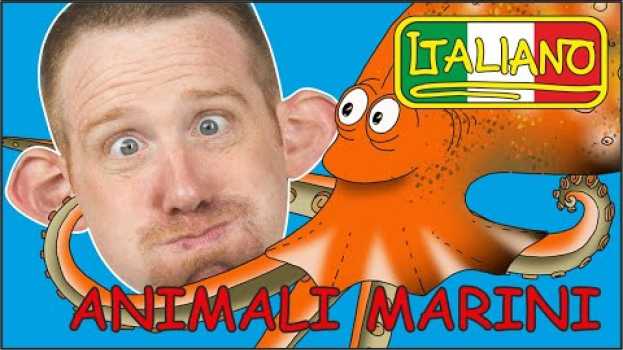 Video Animali Marini per Bambini Dalle Storie | Storie per Bambini con Steve and Maggie Italiano en français