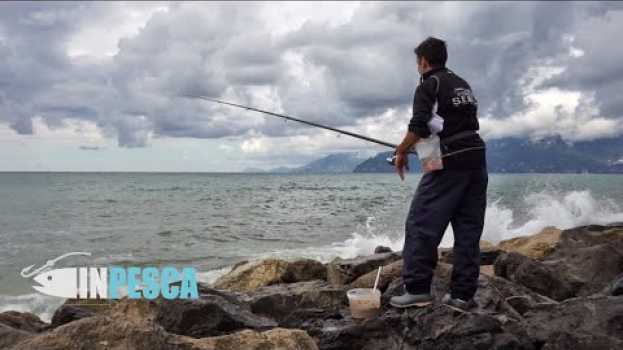 Video BOLOGNESE EXTREME | PESCA nella MAREGGIATA con condizioni difficili   türkçe