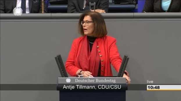 Video Antje Tillmann über die unrealistischen Finanzpläne der AfD em português