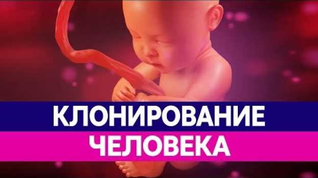 Video КЛОНИРОВАНИЕ ЛЮДЕЙ. Чем опасно клонирование человека и клонирование животных? en español
