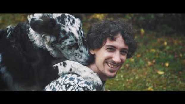 Видео La Comunicazione Intuitiva con gli Animali на русском