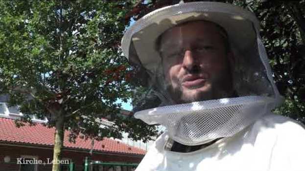 Video Was haben Kirche und Bienen gemeinsam, Herr Pfarrer?   türkçe