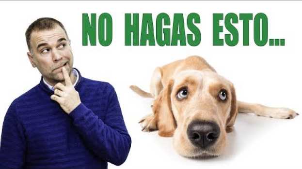 Видео 9 Cosas que tu PERRO ODIA de TI на русском