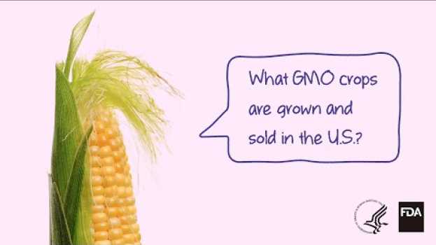 Видео Agricultural Biotechnology: What GMO Crops are Grown and Sold? на русском