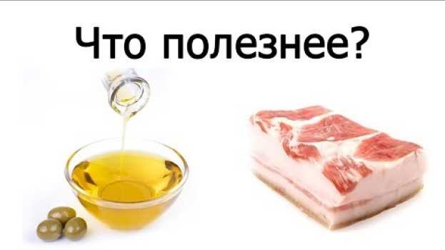 Video Оливковое масло или сало - что полезнее? po polsku