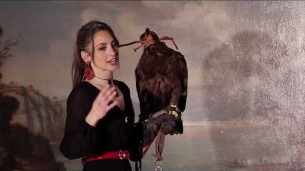 Video Falconeria, una passione, uno stile di vita. | Selene Pulcini | TEDxBolognaWomen en español