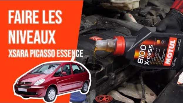Video Faire ses niveaux Xsara Picasso 1.6i 📏 po polsku