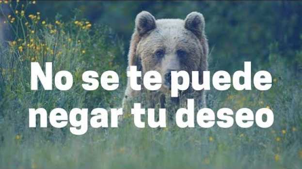 Video ¡No se te puede negar tu deseo! ~ Abraham-Hicks en español Inspiración espiritualidad autoayuda su italiano