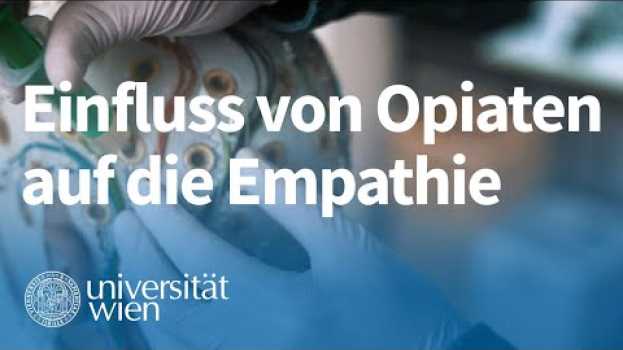 Video Claus Lamm und Markus Rütgen: Wie sich Opiate auf unsere Empathiefähigkeit auswirken   türkçe