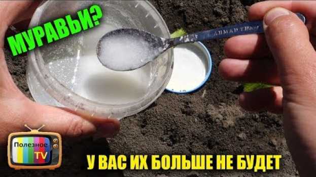 Video МУРАВЬИ! У ВАС ИХ БОЛЬШЕ НЕ БУДЕТ СУПЕР ЭФФЕКТИВНОЕ СРЕДСТВО   türkçe