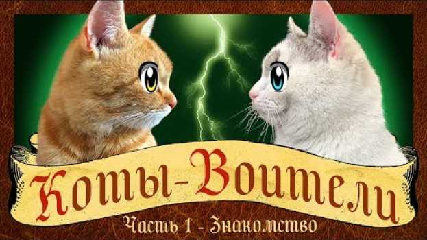 Video КОТЫ ВОИТЕЛИ 1 СЕРИЯ : СТАНЬ ДИКИМ! История кота РЫЖИКА! кот Малыш и Мурка WARRIOR CATS en français