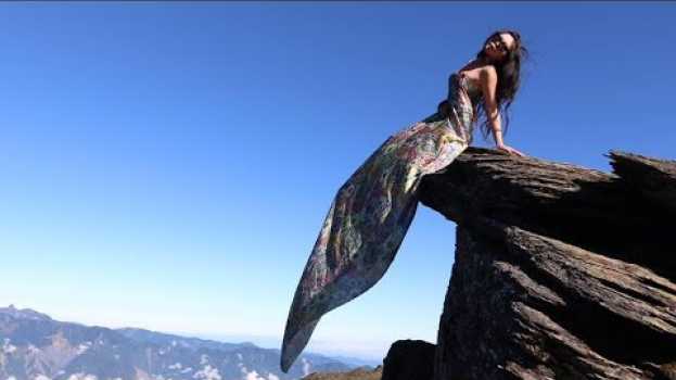 Video Stunts That Sadly Cost People Their Lives en français