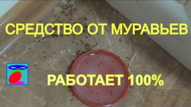Video Средство от муравьев. Как избавиться от муравьев. Борьба с муравьями. in English