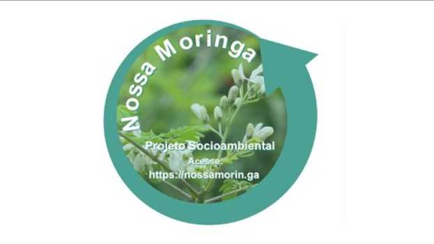 Video Moringa Oleífera apresenta Pesquisa Feita pela Embrapa Pantanal   türkçe