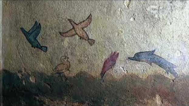 Video Tomba della caccia e della pesca (Tarquinia) po polsku