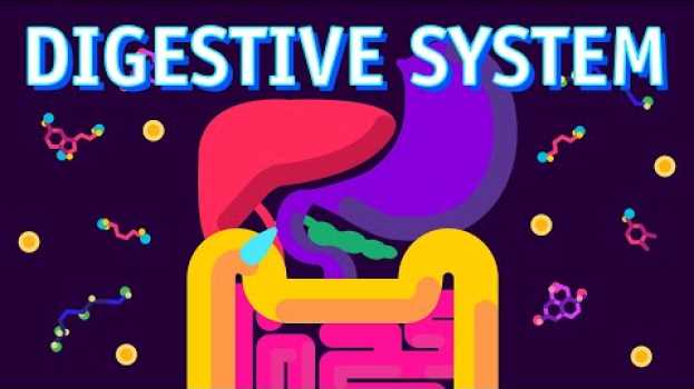 Video How our Digestive System Works? em português
