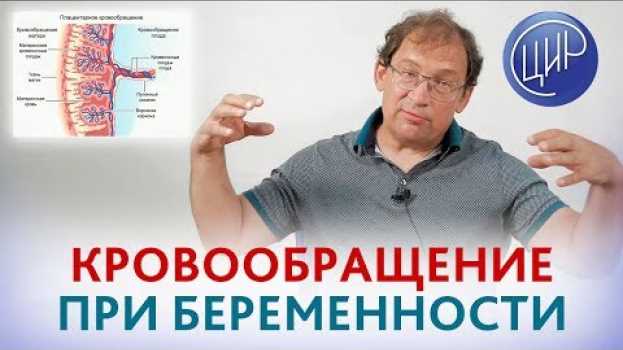 Video Кровообращение при беременности, плацента человека, гемостаз и правильный подход в акушерстве. su italiano