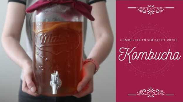 Video Kombucha je vous explique tout !   türkçe