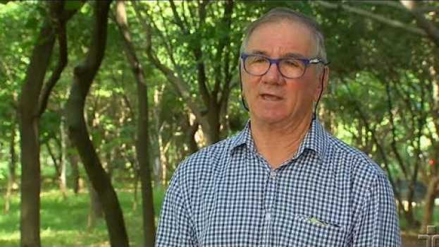 Видео Uma missão de plantar 50 mil árvores на русском