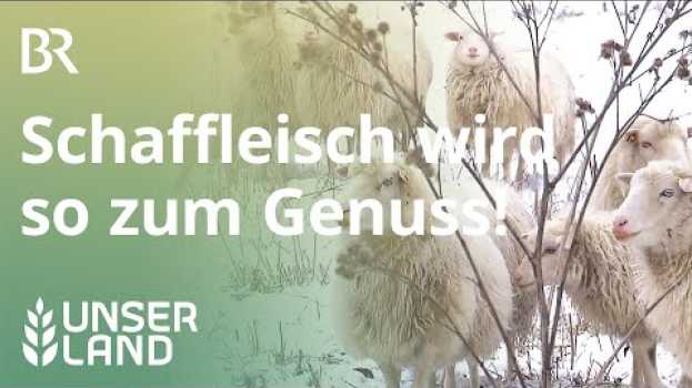 Video Schaffleisch: Es muss nicht immer Lamm sein | Unser Land | BR Fernsehen en français