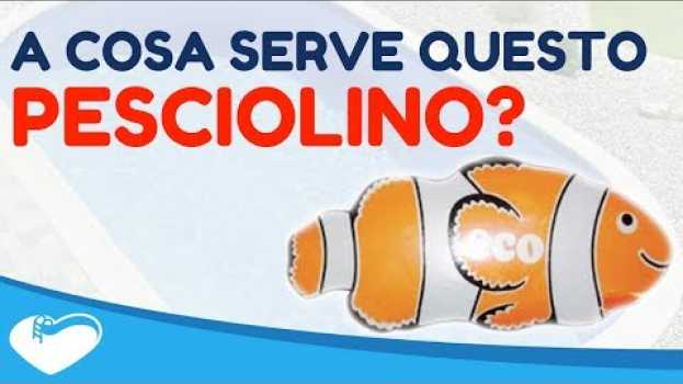 Video Cosa Può Fare Questo ? Pesciolino ? per la Tua Piscina? (BSVillage Q&A #3) auf Deutsch