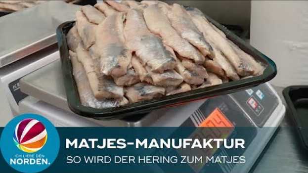 Video Matjeswochen 2022 in Glückstadt: Manufaktur verrät ihr Geheimnis po polsku