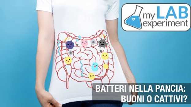 Video BATTERI nella pancia: Buoni o Cattivi? en español
