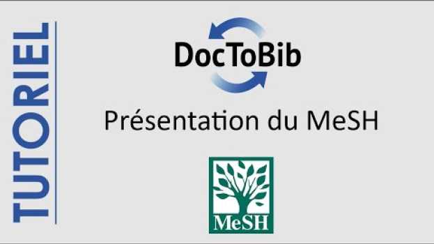 Video 07 - Présentation du MeSH 1/4 po polsku
