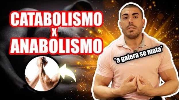 Video Anabolismo x Catabolismo *tudo sobre* auf Deutsch