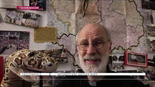 Video Vom Misstrauen Gott gegenüber – Impuls von Weihbischof Ansgar am 12.02.2021   türkçe
