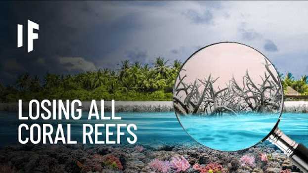 Видео What If Earth Lost All Its Coral Reefs? на русском