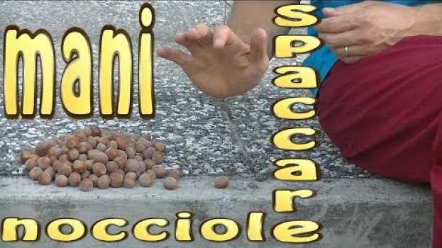 Видео Come aprire le NOCCIOLE con le MANI senza schiaccianoci spaccare sgusciare sbucciare на русском