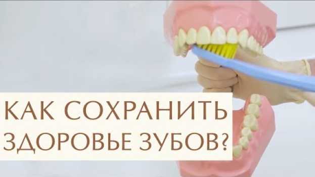 Video 👄 Как ухаживать за полостью рта, рекомендации стоматолога. Как ухаживать за полостью рта. 12+ po polsku