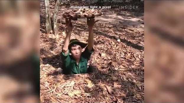 Video I tunnel segreti usati dai comunisti durante la guerra del Vietnam | Insider Italiano po polsku