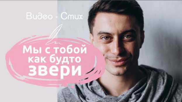 Video Мы с тобой как будто звери | Красивый стих о любви читает Мамедов Рамиль, современная поэзия en français