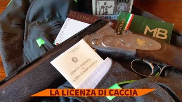 Video Licenza di caccia, come prepararsi all’esame po polsku