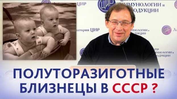 Video ПОЛУТОРАЗИГОТНЫЕ БЛИЗНЕЦЫ в СССР? Разнополые однояйцевые близнецы - СЕСКВИЗИГОТНЫЕ  или нет? en français
