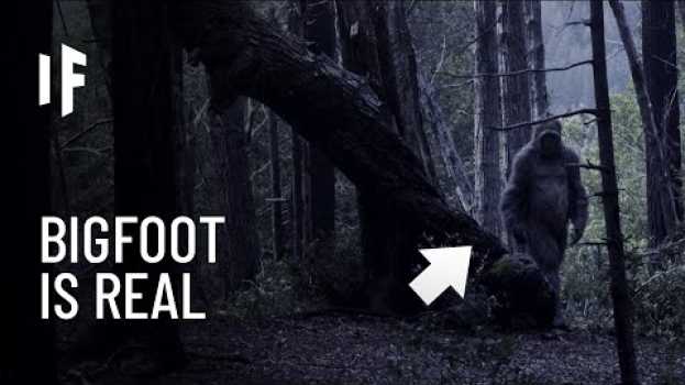 Video What If Bigfoot Actually Exists? auf Deutsch