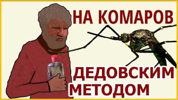Video Защита от комаров в лесу. Старое средство от комаров   türkçe