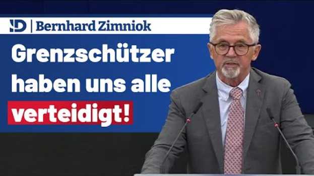 Video Grenzen vor Invasion aus Afrika schützen!  - Bernhard Zimniok su italiano