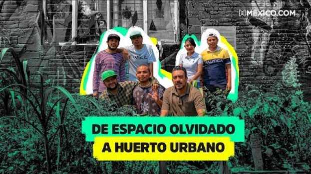 Video Ellos buscan que Iztapalapa pase de ‘foco rojo’ a gran área verde (Huerto urbano Acatitlan) po polsku