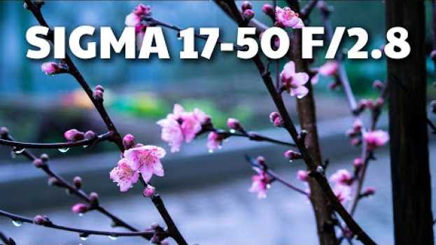 Video Lente Sigma 17-50mm - Review e Comparação com Canon - Será que vale o preço?   türkçe