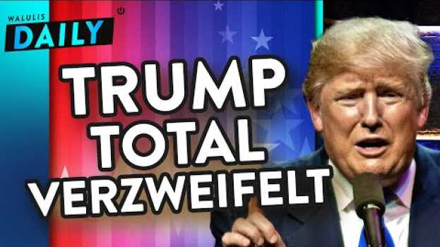 Video So erbärmlich klammert sich Trump an seinen Sieg | WALULIS DAILY po polsku
