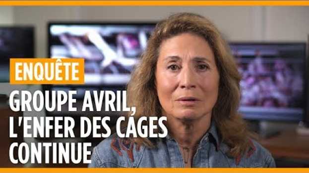 Video La Fondation 30 Millions d’Amis et L214 demandent au groupe Avril de s’engager in English