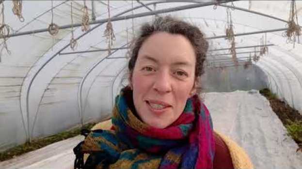 Video !!! Crowdfunding pour le Jardin des Mycorhizes !!! su italiano
