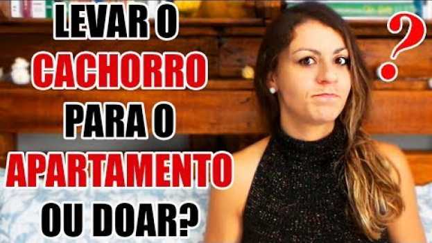Video Levar o cachorro para o apartamento ou doar? E AGORA? su italiano